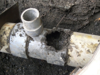 排水口 配管 配水 根っこ 原因 土砂 汚泥 管 詰まり 閉塞